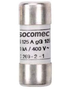 FUS GG 10X38 2A SANS PERC     