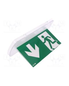 Plexi Plate DD