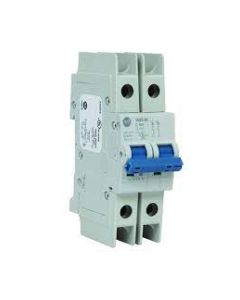 Bulletin 1489-M Thermal-magnetic Circuit Breakers, Standard configuration, AC, 2 Pole Configuration, Trip Curve C, UL/CSA Max. Voltage:480Y/277V AC, 96V DC;  IEC/EN Max. Voltage: 400V AC,1 A