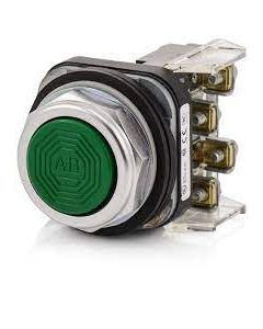 30.5mm Type 4/13 Mom. Contact PB, Non-Illum., Green, Flush Hd, 1 NO-1 NC