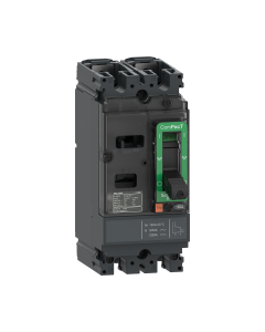 Circuit breaker ComPacT NSX100F AC/DC, 18kA at 415VAC, TMD trip unit 30A, 2 poles 2d