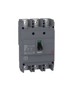circuit breaker Easypact EZC250N - TMD - 125 A - 3 poles 3d